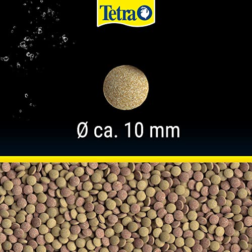 Tetra Tablets TabiMin Hauptfutter (Futtertabletten für am Boden gründelnde Zierfische, für alle bodenfressenden und scheuen Fische), 275 Tabletten Dose - 4
