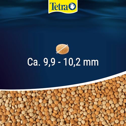 Tetra Tablets TabiMin Hauptfutter (Futtertabletten für am Boden gründelnde Zierfische, für alle bodenfressenden und scheuen Fische), 275 Tabletten Dose - 4