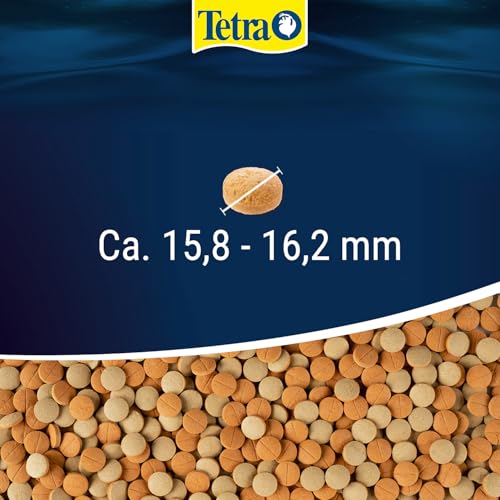 Tetra Tablets TabiMin XL (Futtertabletten für am Boden gründelnde Zierfische, für alle größeren bodenfressenden und scheuen Fische), 133 Tabletten Dose - 4
