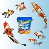 JBL 40199, Hauptfutter für alle Teichfische, Futterflocken PondFlakes, 1er Pack (1 x 10.5 l) - 3