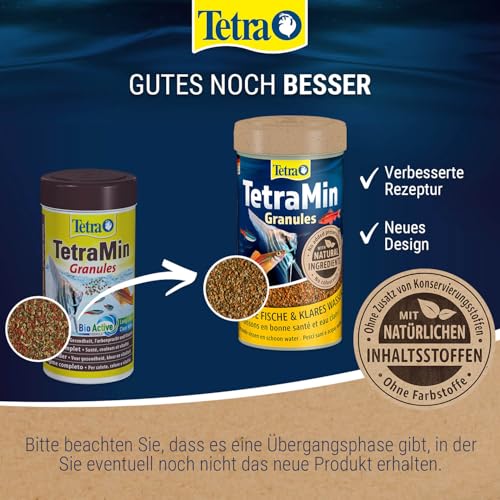 TetraMin Granules (Hauptfutter in Granulatform für alle kleinen Zierfische wie z.B. Salmler und Barben), 250 ml Dose - 2