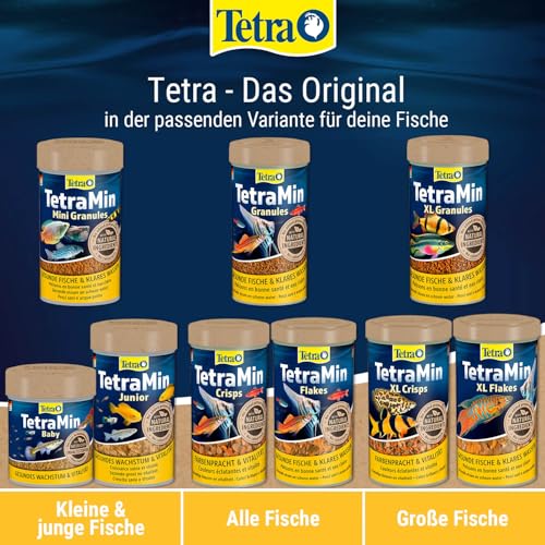 TetraMin Granules (Hauptfutter in Granulatform für alle kleinen Zierfische wie z.B. Salmler und Barben), 250 ml Dose - 8