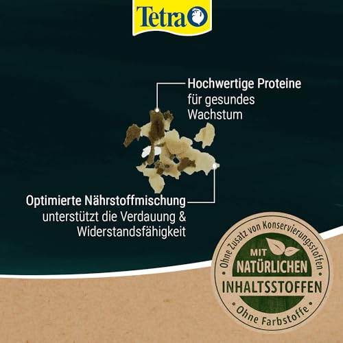 Tetra Pond Flakes Hauptfutter (in Flockenform, besonders gut geeignet für alle Klein- und Jungfische im Gartenteich), 4 Liter Beutel - 4