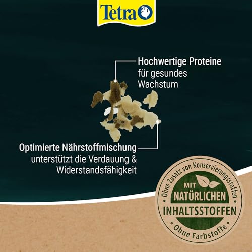 Tetra Pond Flakes Hauptfutter (in Flockenform, besonders gut geeignet für alle Klein- und Jungfische im Gartenteich), 4 Liter Beutel - 4