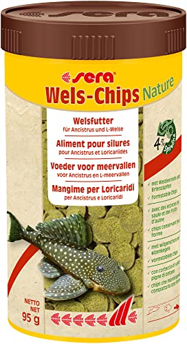 sera 00511 Wels-Chips 250 ml - Die Chips für raspelnde Welse (z.B. Ancistrus und L-Welse)