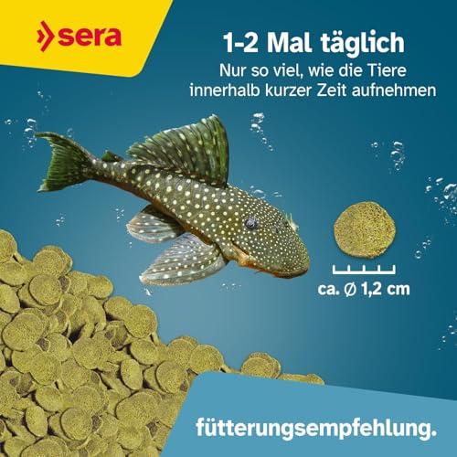 sera 00511 Wels-Chips 250 ml – Die Chips für raspelnde Welse (z.B. Ancistrus und L-Welse) - 2