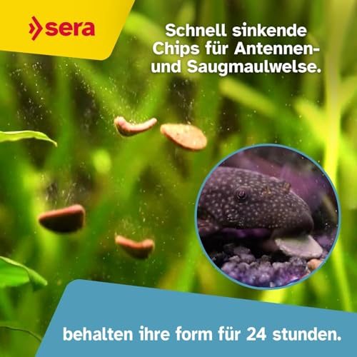 sera 00511 Wels-Chips 250 ml – Die Chips für raspelnde Welse (z.B. Ancistrus und L-Welse) - 3