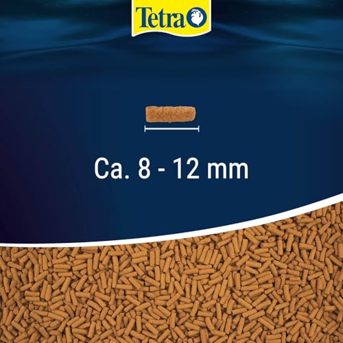 Tetra Cichlid Sticks (Hauptfutter für alle Cichliden und andere große Zierfische, schwimmfähige Futtersticks), 1 Liter Dose - 3