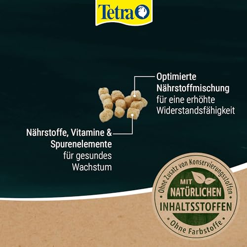 Tetra Pond Sticks Mini (Hauptfutter für alle kleineren Gartenteichfische in Form von schwimmfähigen Sticks), 1 Liter Dose - 4